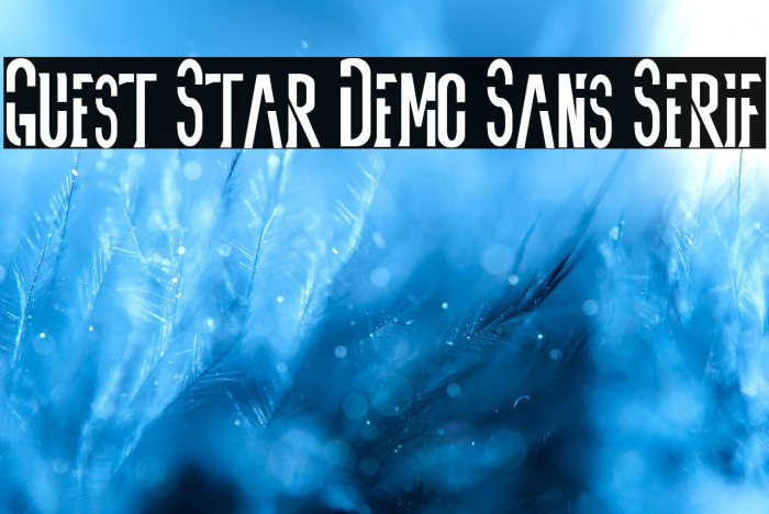 Guest Star Demo Sans Serif Example 2