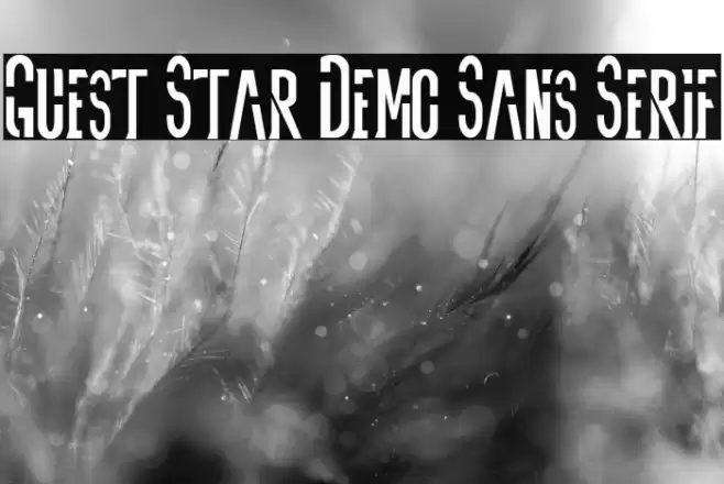 Guest Star Demo Sans Serif Font examples