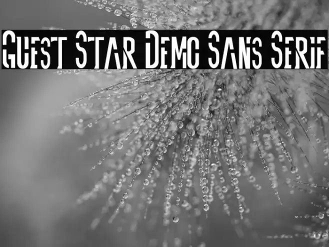 Guest Star Demo Sans Serif Font examples