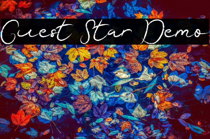Guest Star Demo Example 1