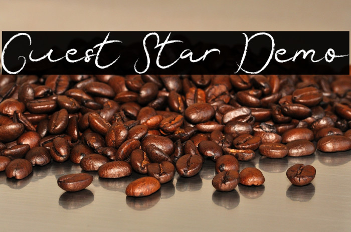 Guest Star Demo Example 2