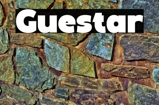 Guestar Example 1