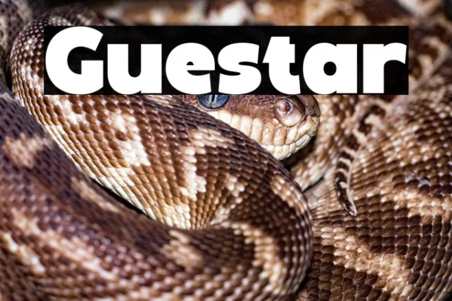 Guestar Example 2