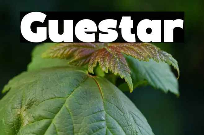 Guestar Example 3