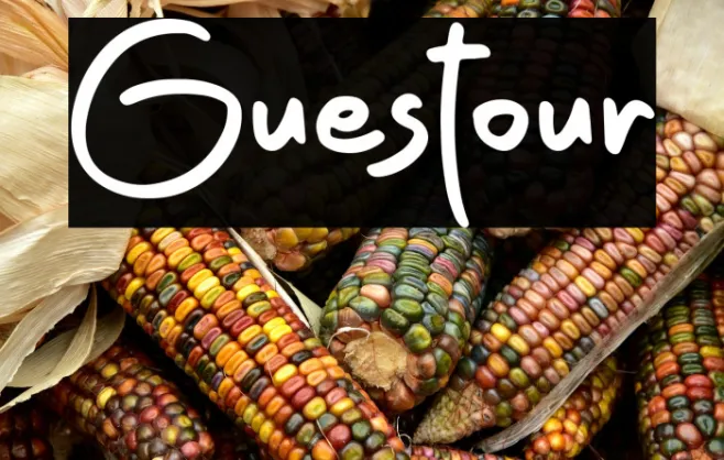 Guestour Example 1