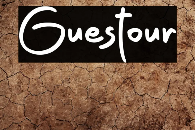 Guestour Example 2