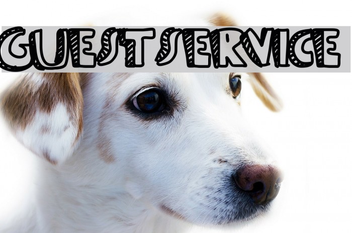 Guestservice Example 2