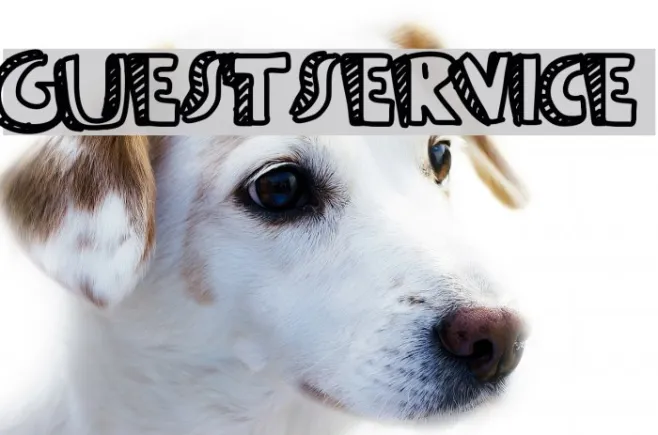 Guestservice Example 2