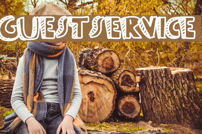 Guestservice Example 3