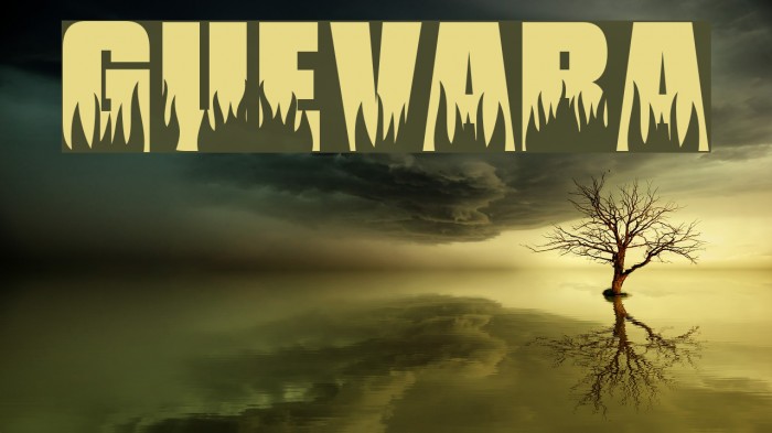 Guevara Font examples