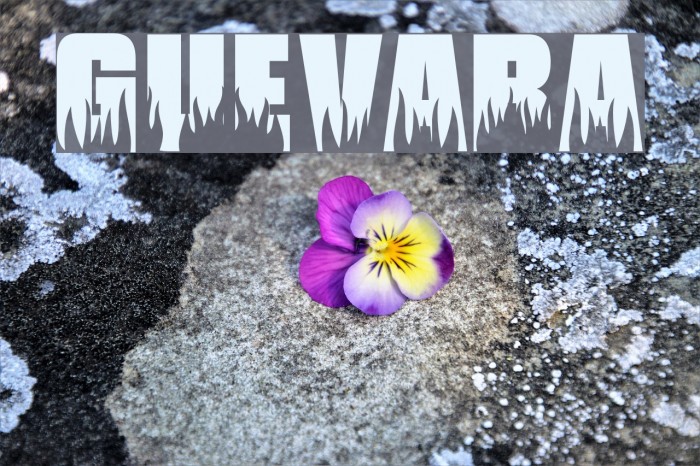 Guevara Font examples