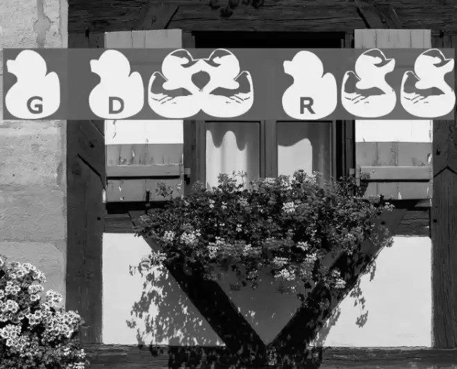 Gugli Ducky Rubber Font examples