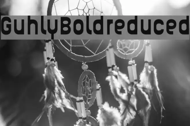 Guhly-Boldreduced Font examples