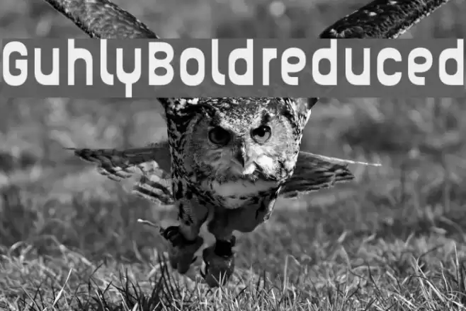 Guhly-Boldreduced Font examples
