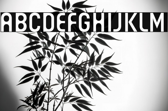 Guhly-Bookreduced Example 2