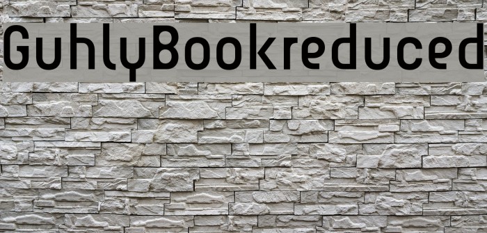 Guhly-Bookreduced Example 2