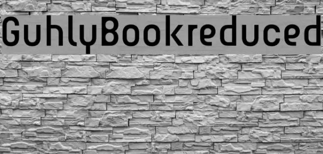 Guhly-Bookreduced Font examples