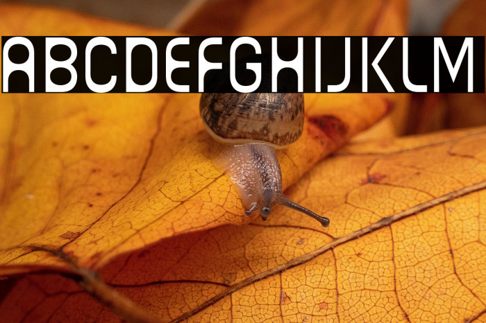 Guhly-Lightreduced Example 1