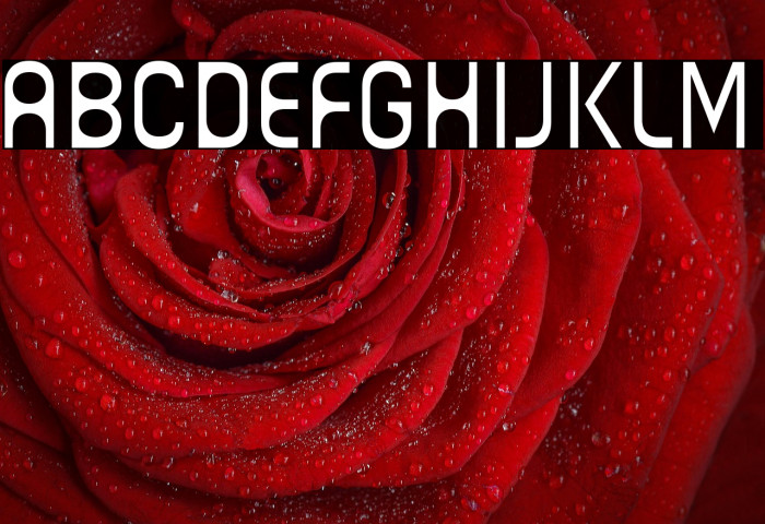 Guhly-Lightreduced Example 3