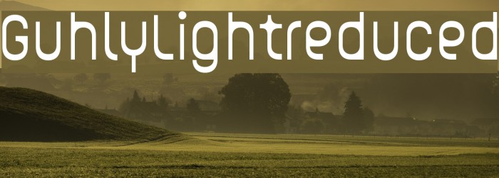 Guhly-Lightreduced Font examples