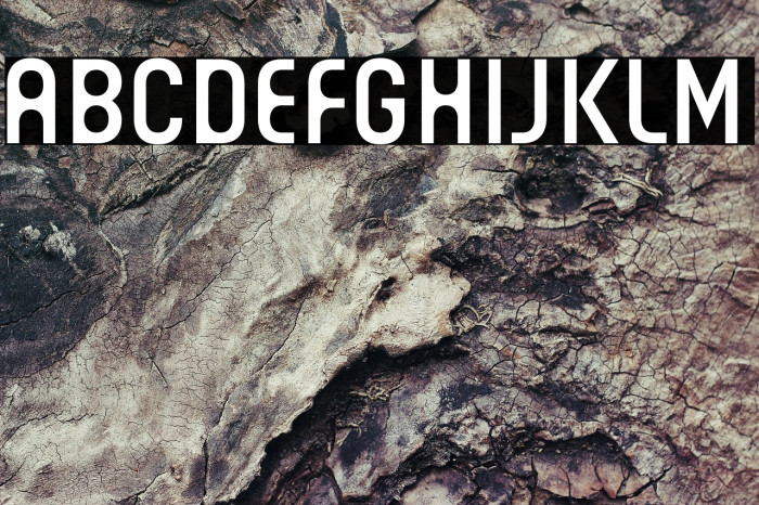 Guhly-Regularreduced Example 2