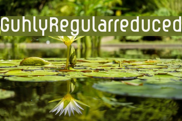 Guhly-Regularreduced Font examples