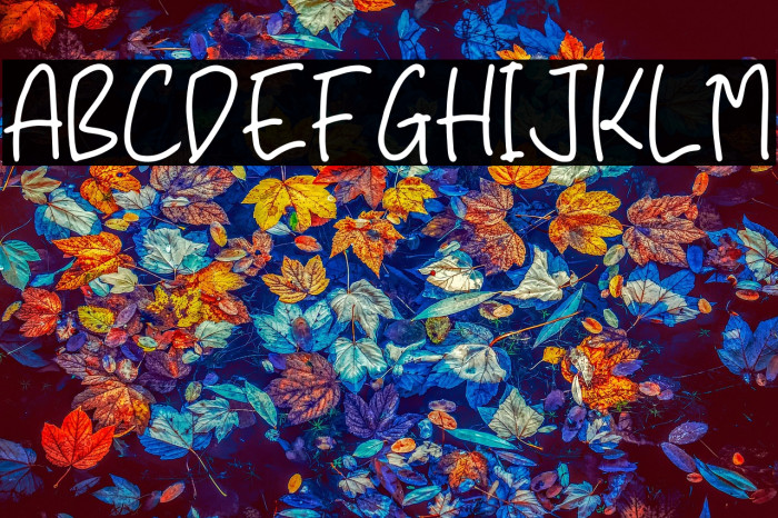 Guide Notes Example 1