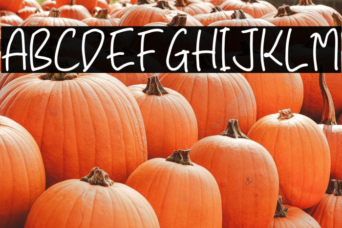 Guide Notes Example 3