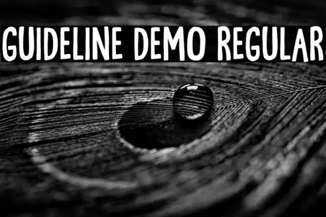 Guideline DEMO Regular Font examples