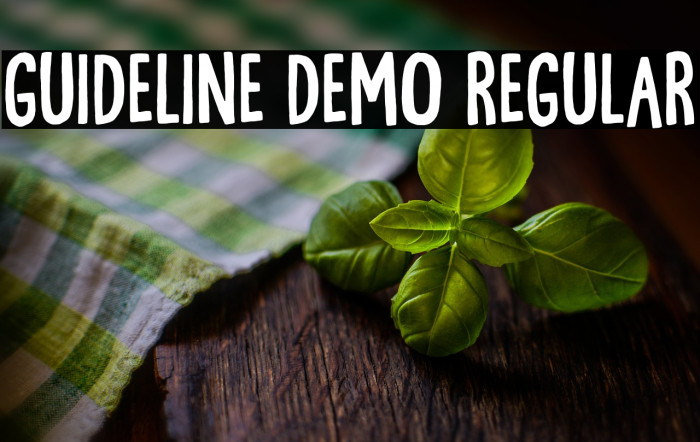 Guideline DEMO Regular Example 3