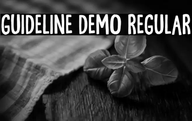 Guideline DEMO Regular Font examples