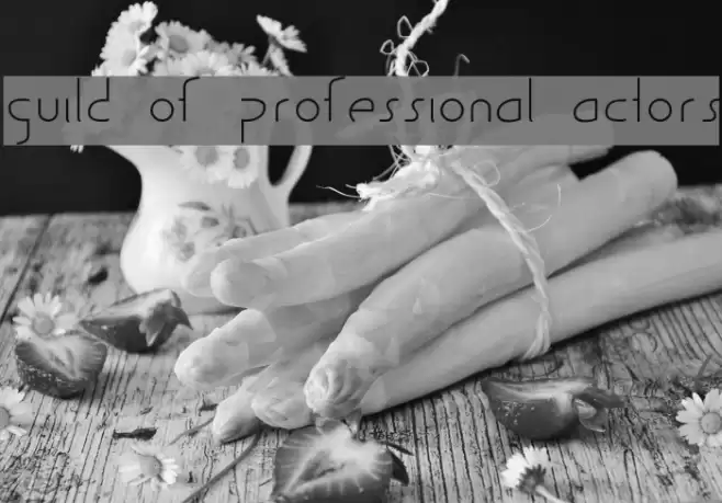 Guild of Professional Actors Font examples