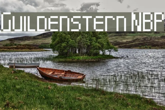 Guildenstern NBP Example 2