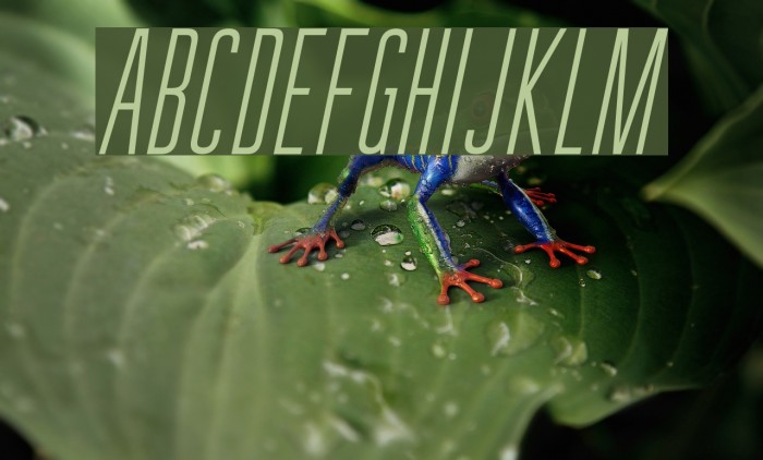 GuilderFree-LightItalic Example 1