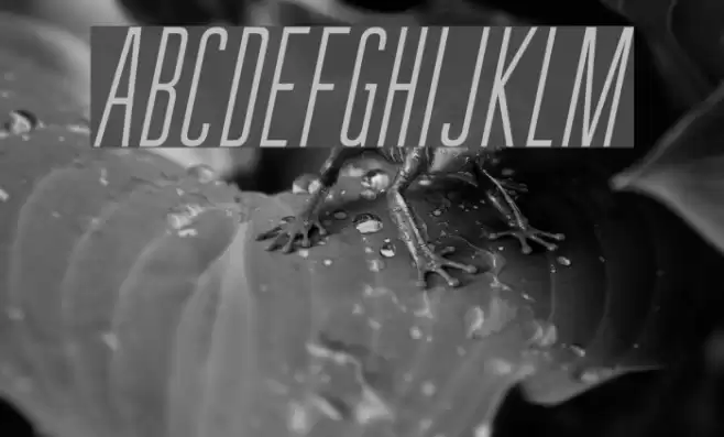 GuilderFree-LightItalic Font examples