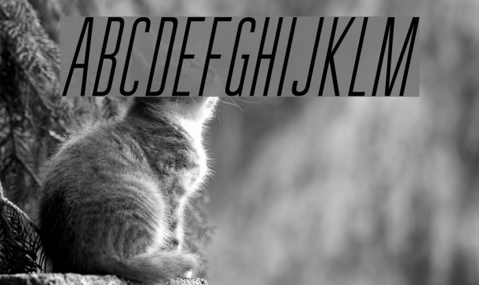 GuilderFree-LightItalic Example 2