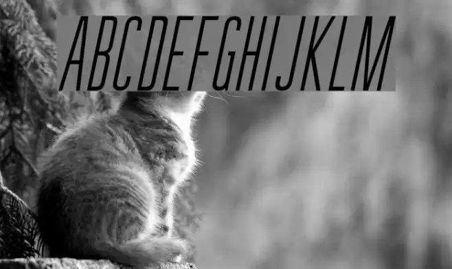 GuilderFree-LightItalic Font examples