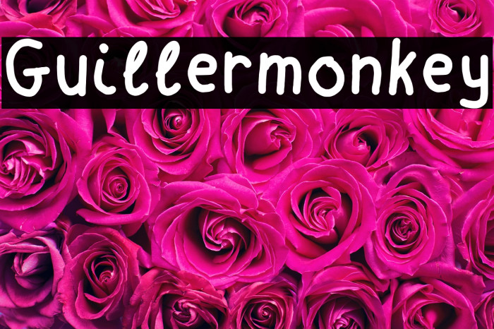 Guillermonkey Example 2