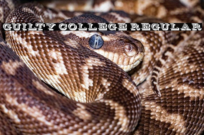 Guilty College Regular Example 2