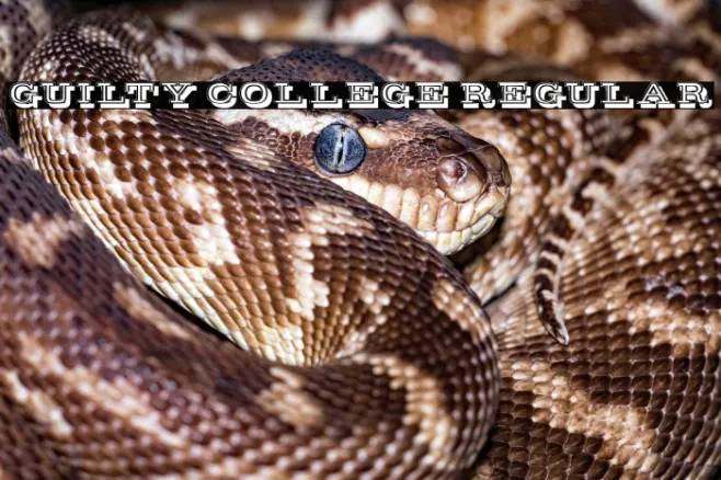 Guilty College Regular Example 2