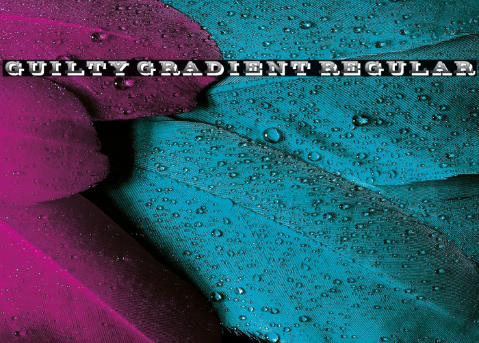 Guilty Gradient Regular Example 2