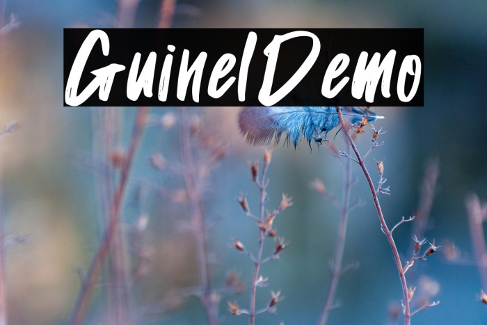 GuinelDemo Example 1