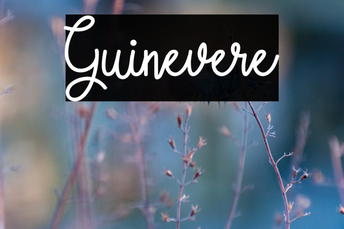 Guinevere Example 2