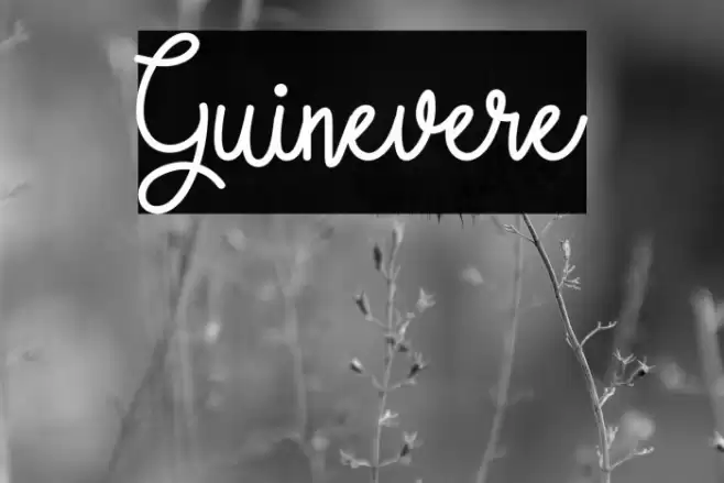 Guinevere Font examples