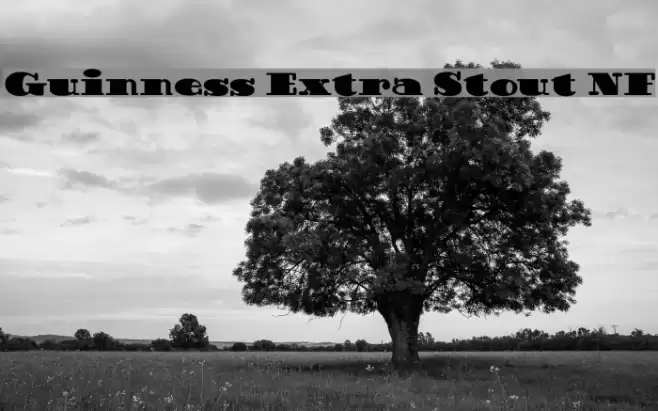 Guinness Extra Stout NF Font examples