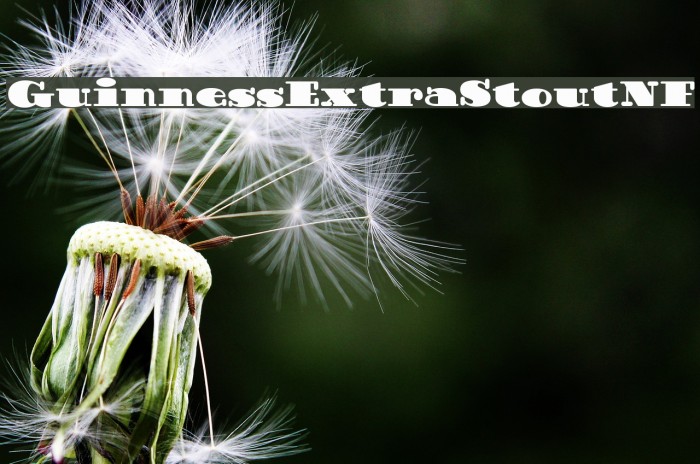 GuinnessExtraStoutNF Example 1