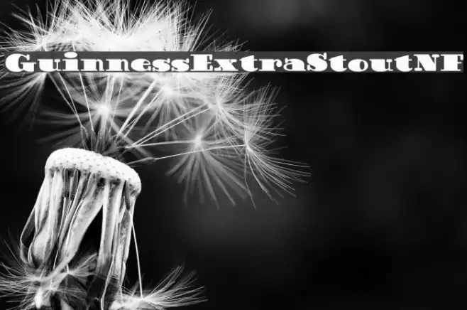 GuinnessExtraStoutNF Font examples