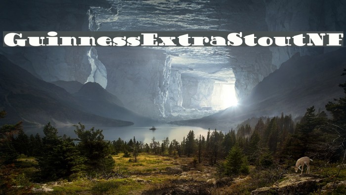 GuinnessExtraStoutNF Example 3