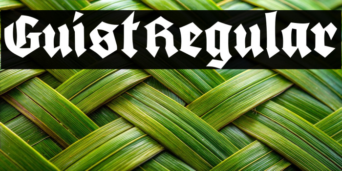 GuistRegular Example 1
