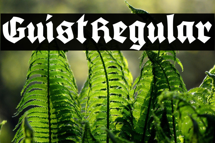 GuistRegular Example 3